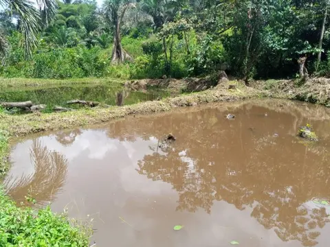 la visite de l'étang Piscicole Bhele